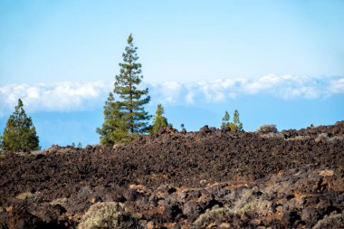 Tenerife 'deki Teide Ulusal Parkı' nın ziyareti ve kışın volkanik manzaralar, Kanarya Adaları, İspanya