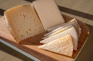 İspanyol sert peynirleri, inek ve koyun kürdanları, manchego, keçi peyniri çiftlikte tatmak için servis edilen, kapat.