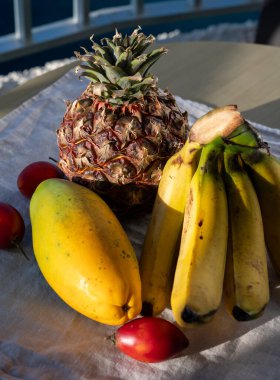 İspanya 'da çevre tarımı, Tenerife adası ve mavi deniz manzaralı tropikal organik sarı Kanarya muzları, ananas, papaya ve tamarillo meyveleri, Kanarya adaları