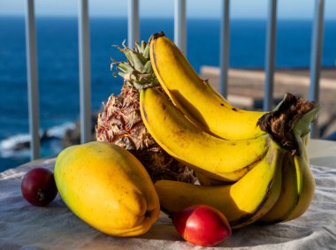 İspanya 'da çevre tarımı, Tenerife adası ve mavi deniz manzaralı tropikal organik sarı Kanarya muzları, ananas, papaya ve tamarillo meyveleri, Kanarya adaları