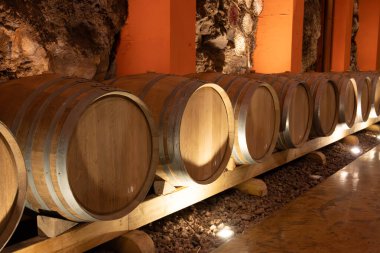 Visit of old caves with oak barrels, wine making on bodegas wineries on volcanic soils of Mount Teide in Tacoronte-Acentejo wine region on Tenerife, Canary islands vacation, Spain, wine tour clipart