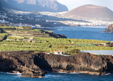 Icod de Los Vinos ile Garachico arasındaki kıyı şeridi. Tenerife Adası 'nın kuzeyinde, İspanya' nın Kanarya Adaları 'nda siyah kayalar ve muz çiftlikleri var.
