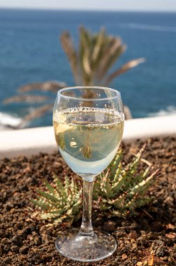 Kutlama, doğum günü partisi, tatil beldesi Costa Adeje, Tenerife 'de soğuk beyaz şarap içmek, Kanarya Adaları kış tatili, İspanya,