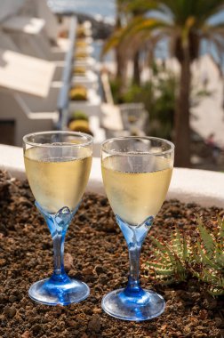 Kutlama, doğum günü partisi, kava ya da şampanya içmek tatil beldesi Costa Adeje, Tenerife, Kanarya Adaları kış tatili, İspanya