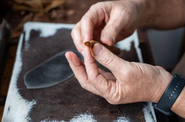 Kurumuş tütün yapraklarından, Garachico 'dan, Tenerife' den, Kanarya Adalarından, İspanya 'dan, iş yerinden yüksek kaliteli puro üretimi