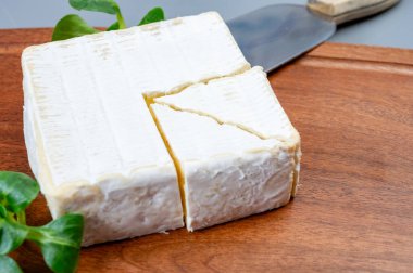 Fransız yumuşak kare pont l 'eveque çiğ inek sütlü peynir Calvados departmanı, Normandiya, Fransa