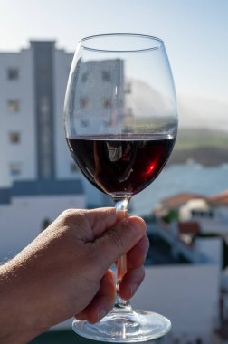 Tenerife 'deki Ycoden-Daute-Isora Dağı' nın volkanik topraklarında şarap imalathanelerinde şarap üretiliyor. Kanarya Adaları kış tatili, İspanya, açık havada kırmızı şarap bardakları.