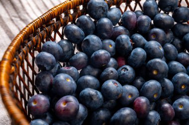 Yabanmersini antioksidan organik süper yiyecek ormanı meyvesi.