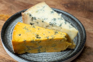 Peynir koleksiyonu, İngiliz ineği sütü yarı yumuşak, parçalanmış mavi ayaklık ve mavi sarı shropshire peyniri yakın, peynir tatma çiftliği