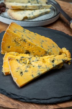 Peynir koleksiyonu, İngiliz ineği sütü yarı yumuşak, parçalanmış mavi ayaklık ve mavi sarı shropshire peyniri yakın, peynir tatma çiftliği