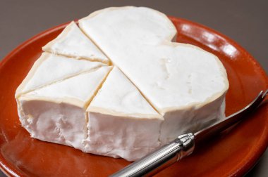 Peynir koleksiyonu, Normandiya 'dan Fransız peyniri, çiğ sütten yapılmış kalp şeklinde neufchatel.