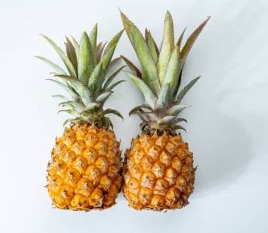 İki taze olgun Fransız ananası ya da Mauritius 'tan gelen tatlı bebek ananasları. Beyaz arka planda.
