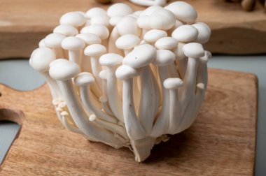 Taze beyaz shimeji yenilebilir mantarları Doğu Asya 'ya özgüdür, ona-shimeji yaygın olarak yetiştirilir ve umami tatma bileşikleri bakımından zengindir.