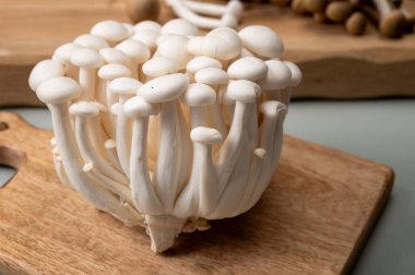 Taze beyaz shimeji yenilebilir mantarları Doğu Asya 'ya özgüdür, ona-shimeji yaygın olarak yetiştirilir ve umami tatma bileşikleri bakımından zengindir.