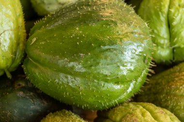 Taze taze organik yeşil Chayote meyveleri, ya da christophine, mirliton choko Tenerife, Kanarya Adaları, İspanya 'da çiftçi pazarında, yerel çiftçi ürünleri yakın mesafede.