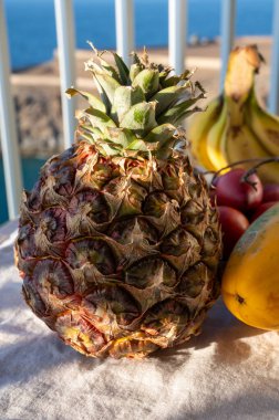 İspanya 'da eko çiftçiliği, Tenerife adası ve mavi deniz manzaralı Kanarya Adaları' ndan gelen organik, olgun, sarı kanarya ananası tropikal meyveleri.