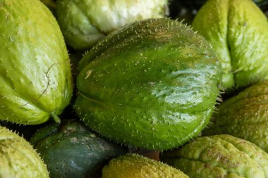 Taze taze organik yeşil Chayote meyveleri, ya da christophine, mirliton choko Tenerife, Kanarya Adaları, İspanya 'da çiftçi pazarında, yerel çiftçi ürünleri yakın mesafede.