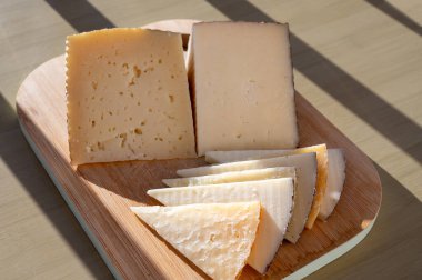 İspanyol sert peynirleri, inek ve koyun kürdanları, manchego, keçi peyniri çiftlikte tatmak için servis edilen, kapat.