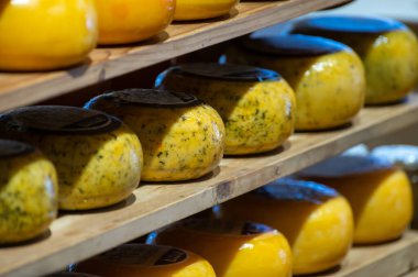 Hollanda, Kuzey Hollanda 'daki peynir fabrikasında inek sütünden elde edilen sert peynirli ahşap raflar, eski Hollanda peynir çiftliği.