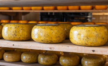 Hollanda, Kuzey Hollanda 'daki peynir fabrikasında inek sütünden elde edilen sert peynirli ahşap raflar, eski Hollanda peynir çiftliği.