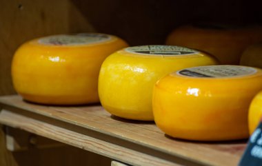Hollanda, Kuzey Hollanda 'daki peynir fabrikasında inek sütünden elde edilen sert peynirli ahşap raflar, eski Hollanda peynir çiftliği.