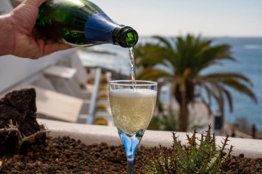 Kutlama, doğum günü partisi, kava ya da şampanya içmek tatil beldesi Costa Adeje, Tenerife, Kanarya Adaları kış tatili, İspanya