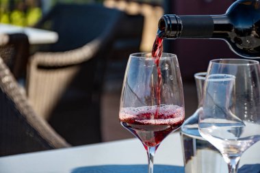 Tenerife 'deki Tacoronte-Acentejo Dağı' nın volkanik topraklarındaki şarap imalathanelerinde şarap üretimi, Kanarya adaları tatili, İspanya, kırmızı listan üzümlü kuru şarap tatma.