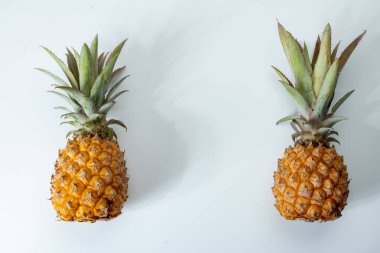 İki taze olgun Fransız ananası ya da Mauritius 'tan gelen tatlı bebek ananasları. Beyaz arka planda.