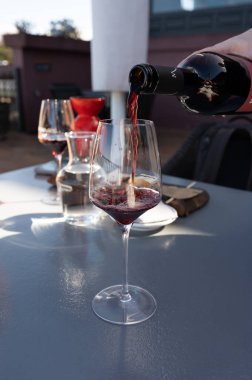 Tenerife 'deki Tacoronte-Acentejo Dağı' nın volkanik topraklarındaki şarap imalathanelerinde şarap üretimi, Kanarya adaları tatili, İspanya, kırmızı listan üzümlü kuru şarap tatma.