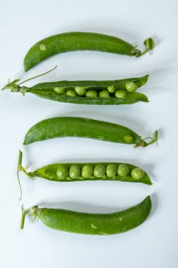 Taze taze bezelye tohumu, bahçe işleri, organik bahçe işleri.