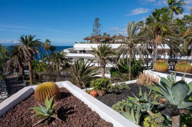 Costa Adeje ve Playa de las Americas yakınlarındaki Tenerife 'nin güneyindeki oteller, Kanarya adaları, kışın İspanya