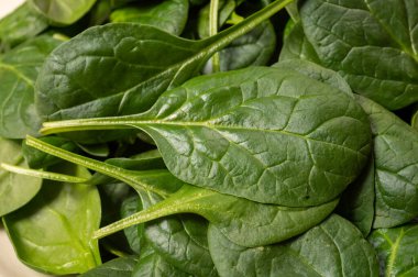 Taze yeşil bebek ıspanak yaprakları, diyet ve sağlık konsepti, kilo kaybı, seramik tabakta yıkanmış ıspanak, çiğ gıda