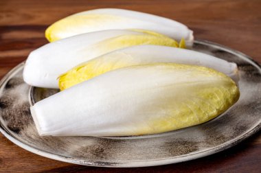 Taze organik hindiba salatası yenmeye hazır Belçika ve Hollanda 'da geleneksel kış mevsimi yemekleri