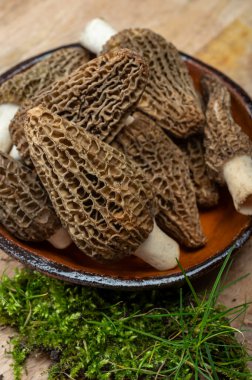 Çiğ bahar mantarları morşeller ya da gerçek mantarlar gurme aşçılar için yenilebilir kese mantarları, Katalan ve Fransız mutfağında, yenilebilir yabani mantarlar