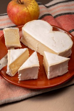 Peynir koleksiyonu, Normandiya 'dan Fransız peyniri, çiğ sütten yapılmış kalp şeklinde neufchatel.