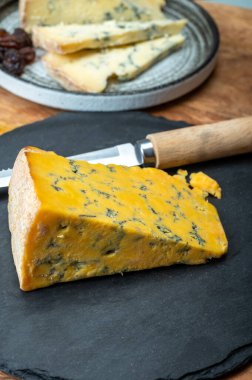 Peynir koleksiyonu, İngiliz ineği sütü yarı yumuşak, parçalanmış mavi ayaklık ve mavi sarı shropshire peyniri yakın, peynir tatma çiftliği