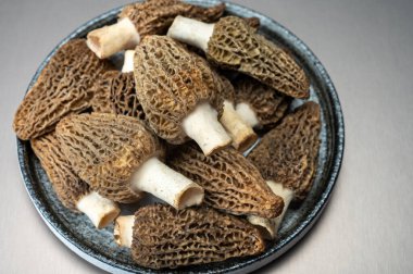 Çiğ bahar mantarları morşeller ya da gerçek mantarlar gurme aşçılar için yenilebilir kese mantarları, Katalan ve Fransız mutfağında, yenilebilir yabani mantarlar