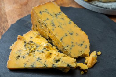 Peynir koleksiyonu, İngiliz ineği sütü yarı yumuşak, parçalanmış mavi ayaklık ve mavi sarı shropshire peyniri yakın, peynir tatma çiftliği