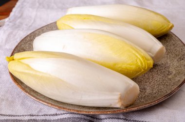 Taze organik hindiba salatası yenmeye hazır Belçika ve Hollanda 'da geleneksel kış mevsimi yemekleri