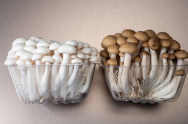 Doğu Asya 'ya özgü taze beyaz ve kahverengi shimeji mantarları, ona-shimeji yaygın olarak yetiştirilmiş ve umami tatma bileşikleri açısından zengindir.