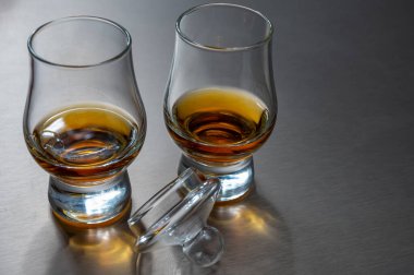 İskoç viskisi ve yüksek kalite harmanlanmış viski ya da İskoçya 'daki damıtma tesisinde viski tatma.