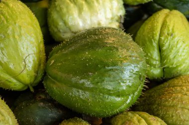 Taze taze organik yeşil Chayote meyveleri, ya da christophine, mirliton choko Tenerife, Kanarya Adaları, İspanya 'da çiftçi pazarında, yerel çiftçi ürünleri yakın mesafede.