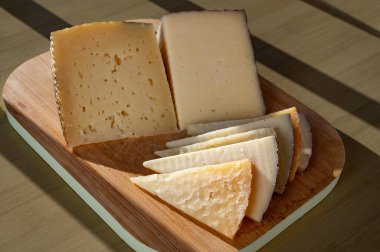 İspanyol sert peynirleri, inek ve koyun kürdanları, manchego, keçi peyniri çiftlikte tatmak için servis edilen, kapat.