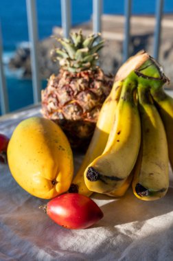 İspanya 'da çevre tarımı, Tenerife adası ve mavi deniz manzaralı tropikal organik sarı Kanarya muzları, ananas, papaya ve tamarillo meyveleri, Kanarya adaları