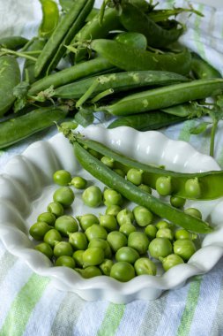 Taze taze bezelye tohumu, bahçe işleri, organik bahçe işleri.