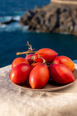 İspanya 'da eko tarımı, Tenerife adasından gelen organik kırmızı tamarillo domates ağacı tropikal meyveleri ve mavi deniz manzarası, Kanarya adaları