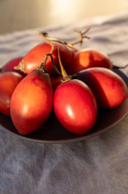 İspanya 'da eko tarımı, Tenerife adasından gelen organik kırmızı tamarillo domates ağacı tropikal meyveleri ve mavi deniz manzarası, Kanarya adaları