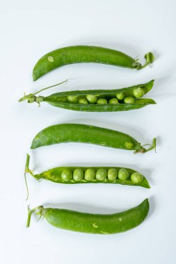 Taze taze bezelye tohumu, bahçe işleri, organik bahçe işleri.