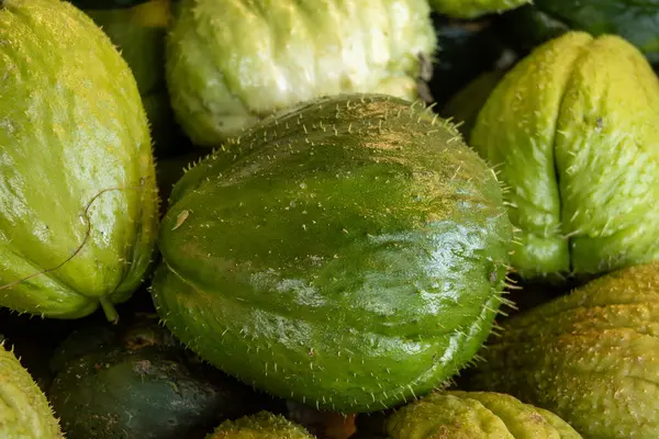 Taze taze organik yeşil Chayote meyveleri, ya da christophine, mirliton choko Tenerife, Kanarya Adaları, İspanya 'da çiftçi pazarında, yerel çiftçi ürünleri yakın mesafede.