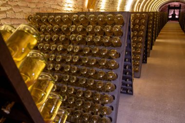 Derin ve uzun yeraltı mağaralarındaki raflarda şişeler şarap ve siyah üzümlerden şampanya yapıyor Reims, Champagne, Fransa 'da